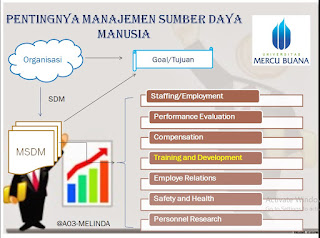 Hasil gambar untuk pentingnya manajemen dalam organisasi