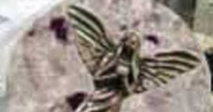 Resultado de imagen de Estatua de un angel encontrada en la Luna con 200.000 años de antiguedad