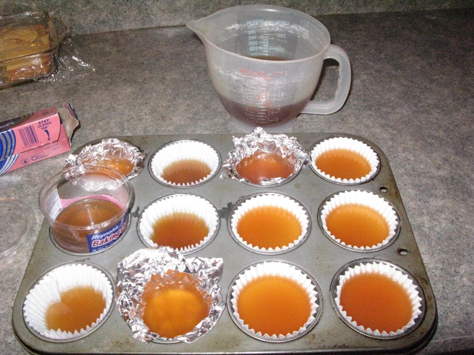 The Every Day Home School Homemade Petri Dishes Part 1