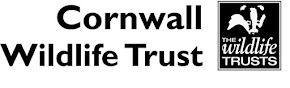 Shoresearch is a Project of Cornwall Wildlife Trust