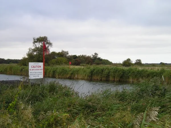 River up from Potter Heigham