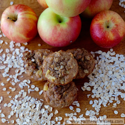 Chunks of apples mixed with buttermilk-soaked oats in a whole wheat muffin, topped with streusel for a sweet and wholesome treat.