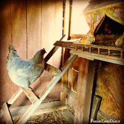 chicken nesting curtains box coop boxes hang eggs frivolous reasons coops chickens each spring seem down egg clean