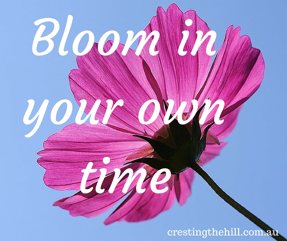 LOVING BEING A LATE BLOOMER Cresting The Hill