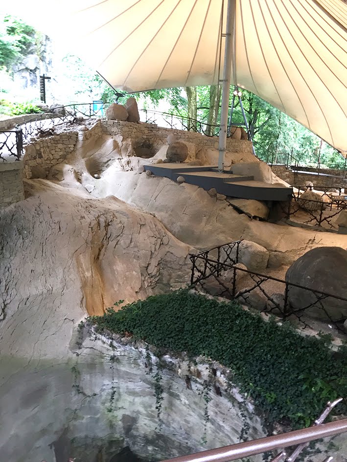 Urban Sketchers Switzerland Sketchcrawl Luzern Naturmuseum Und