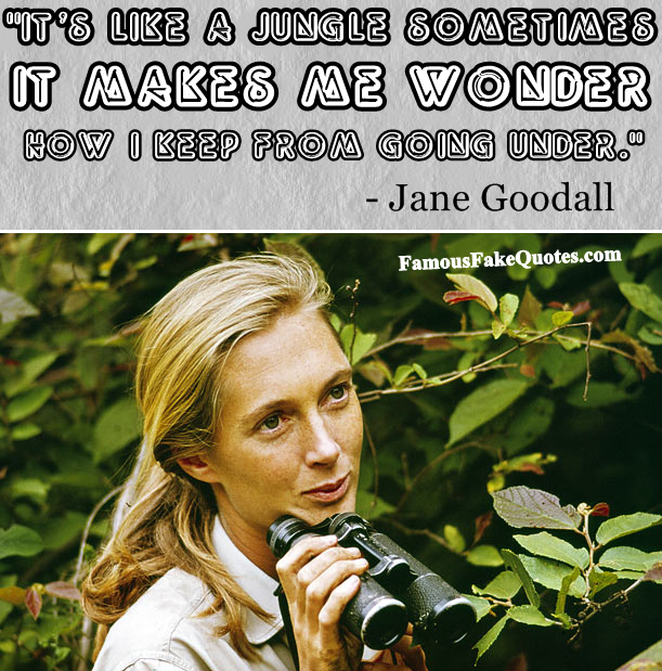 Jane Goodall Quotes. QuotesGram