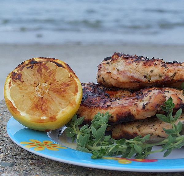 Delightful Nourishment grilled chicken w/ lemon & oregano