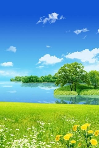 mobile phone full hd screen