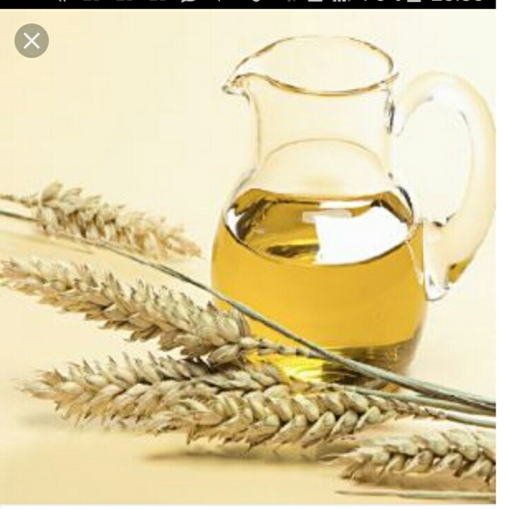 Jual Vco Jual Bahan Pomade Castor Oil Olive Oil Almond Oil