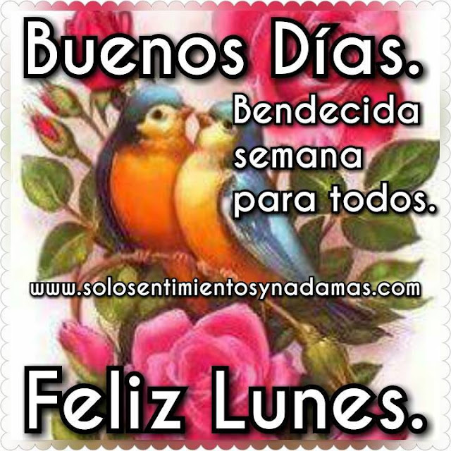 Feliz lunes.