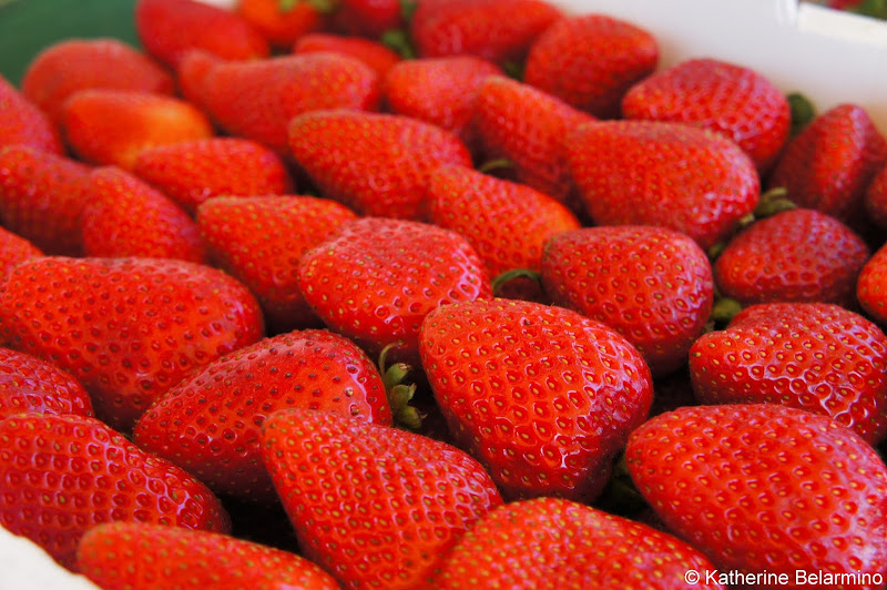 Darensberries Strawberries Santa Maria Central California Weekend Getaway
