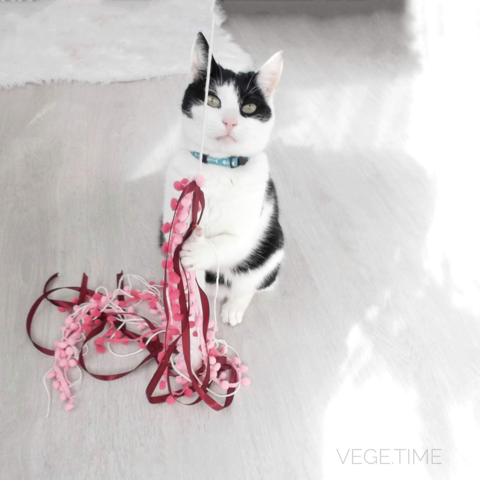 Easy Diy Cat Toys Upcycling Vege Time