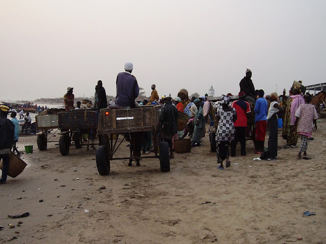 Llegada de Pescadores al Puerto de Mbour