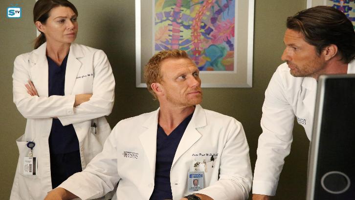 Grey's Anatomy - Episode 13.04 - Falling Slowly - Promo, Sneak Peeks, Promotional Photos & Press Release