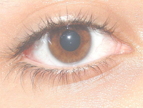 Pupil pada organ mata memiliki fungsi sebagai