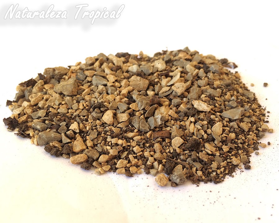 Sustrato para cactus rico en grava para lograr un drenaje perfecto