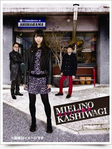 ミエリーノ柏木DVD-BOX ＆ Blu-ray-BOX