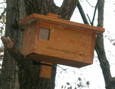 Casetta Per Uccelli Nido Per Cinciarella E Cinciallegra - Cassetta Uccelli Selvatici In Legno Non Trattato - Foro 26mm - Made In Germany Protezione Anti Predatori