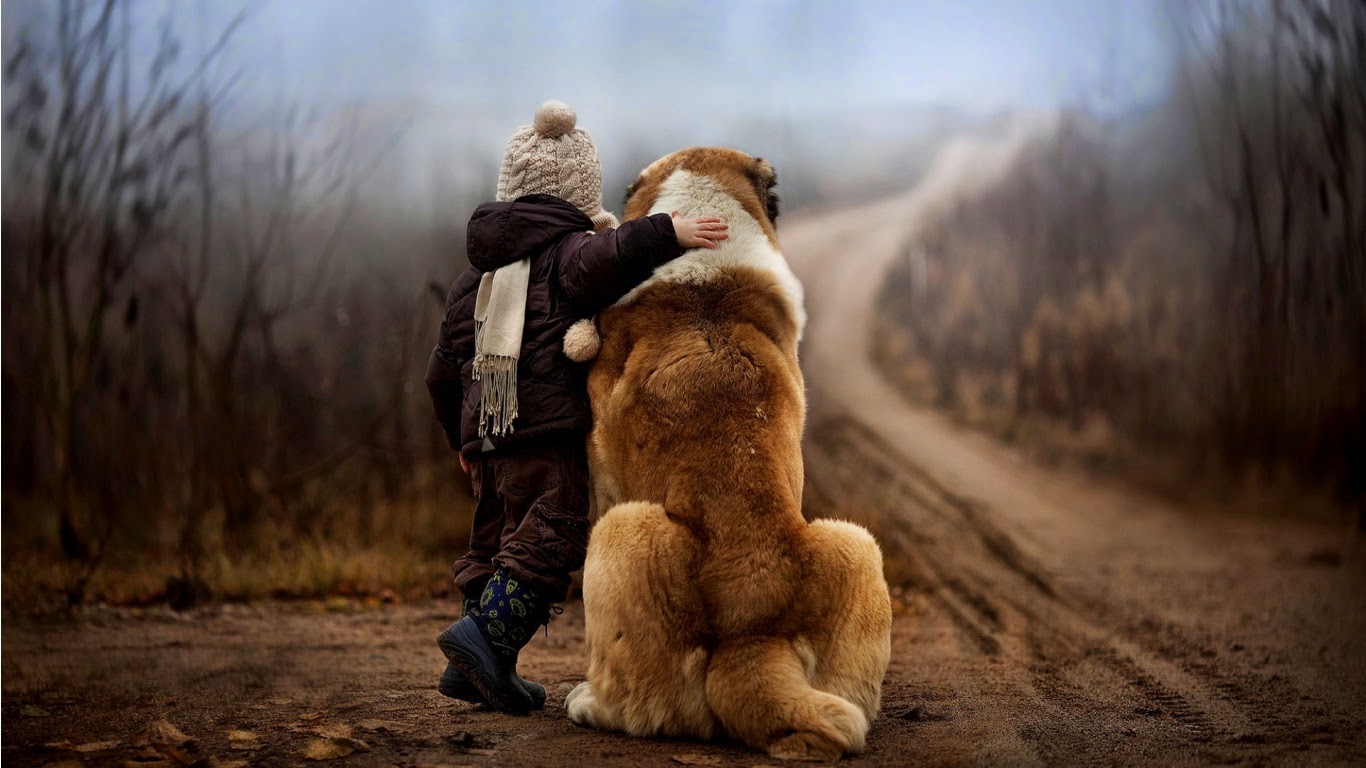 Child and Animal Friendship HD wallpapers