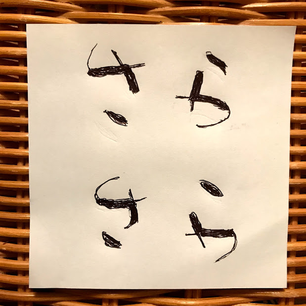 ファーマータナカのデイリーブログ アンビグラム