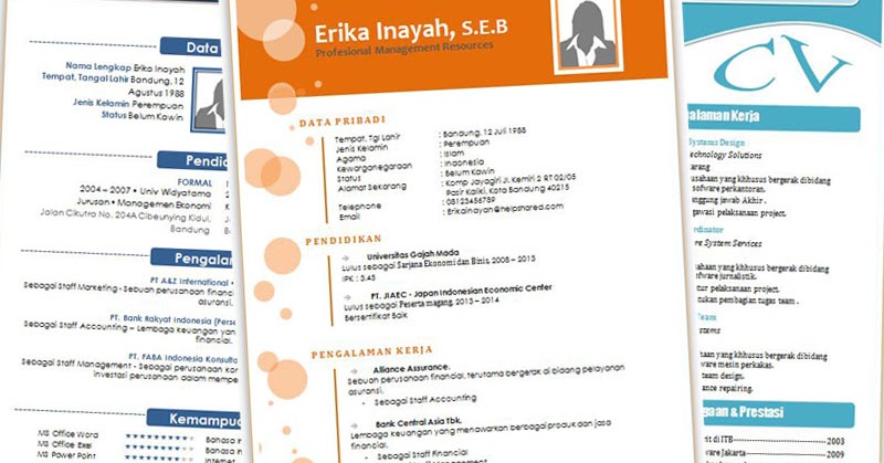 Infonyaridwan: Download Kumpulan Contoh CV Keren Dan Profesional
