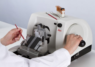  Histoteknik adalah suatu metode dalam proses pembuatan preparat histologi dari suatu spes Materi Mikroteknik Histoteknik Hewan