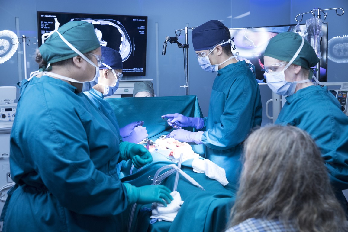 The Good Doctor - Season 1 Episode 5 Online for Free - #1 ...