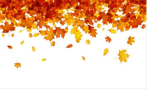 P Outono Autumn Png