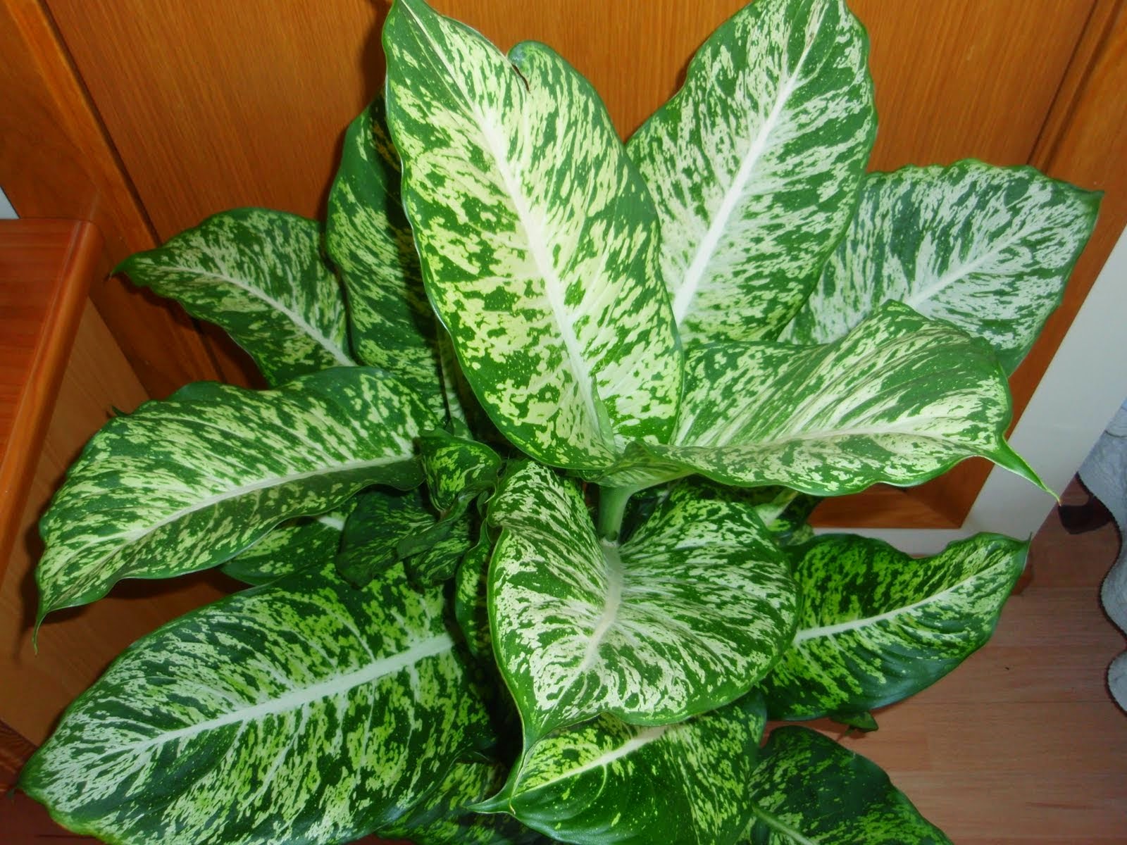 Tips y reflexiones para la vida