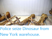 http://sciencythoughts.blogspot.co.uk/2012/06/police-seize-dinosaur-from-new-york.html