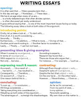 Curriculum vitae aviation job photo 3