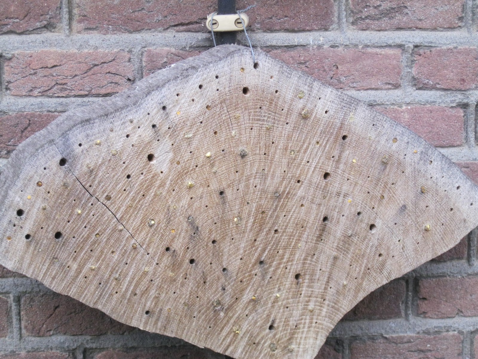 11Science december 2011