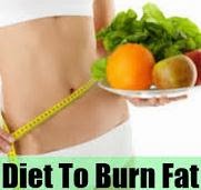 Burn Fat Diet Burn Fat Diet