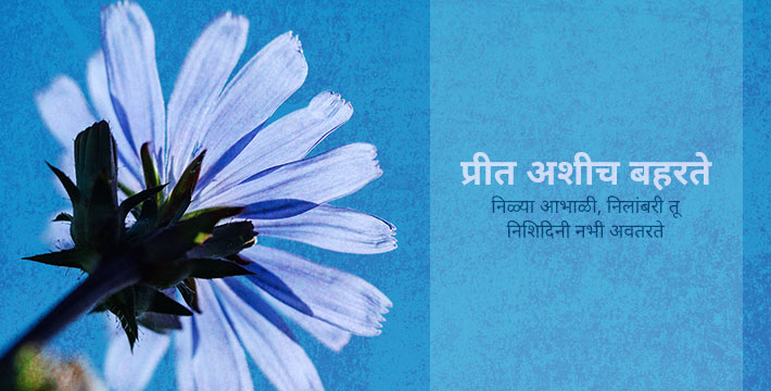 प्रीत अशीच बहरते प्रीत अशीच बहरते