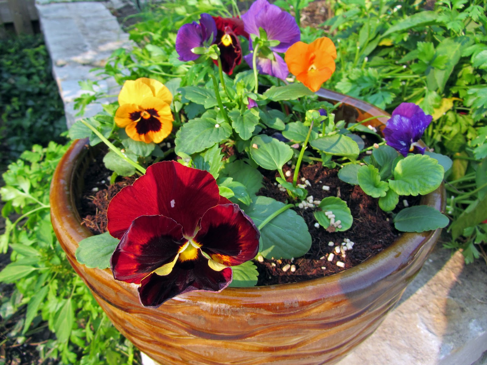 Gatsbys Gardens Sep 13, 2011