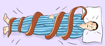 Arti dan simbolisme ular dalam mimpi - Fakta Mimpi