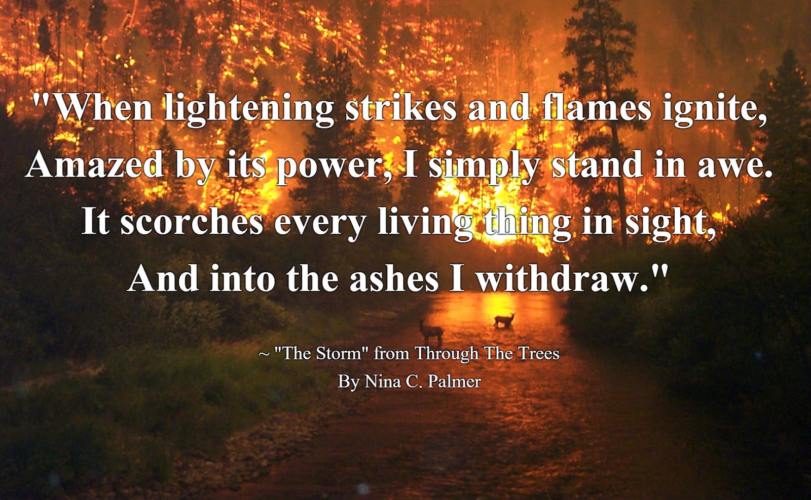 Nina C. Palmer Writing: Quotes from Through the Trees