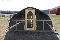 space much need chicken coop run chickens hen corner rooster keeping natural