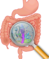 Ilustrasi Virus Dalam Lambung virus di lambung