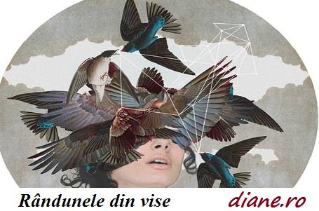 Vise Gainat De Pasare