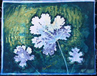 Wet cyanotype, Sue Reno, Image 36