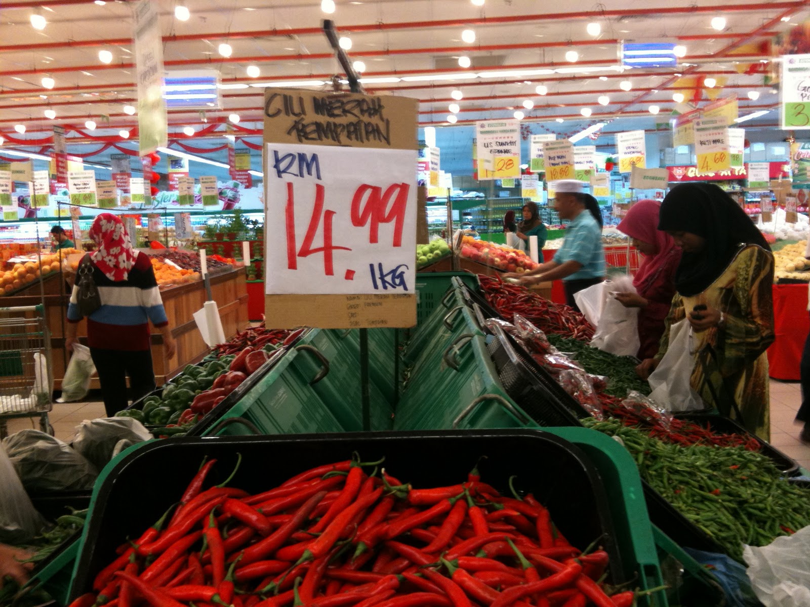 Global Agro Diversified - Expert in chili planting: Monitoring the ...