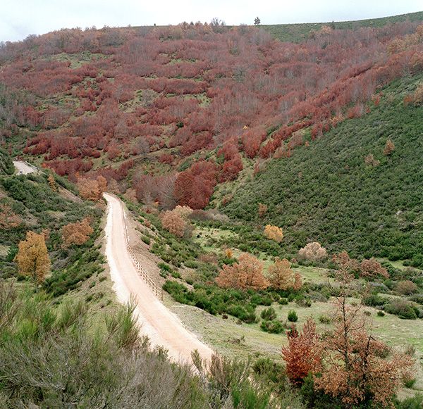 Foto de Camino Natural Via Verde de la Sierra de la Demanda en Fresneña, Burgos