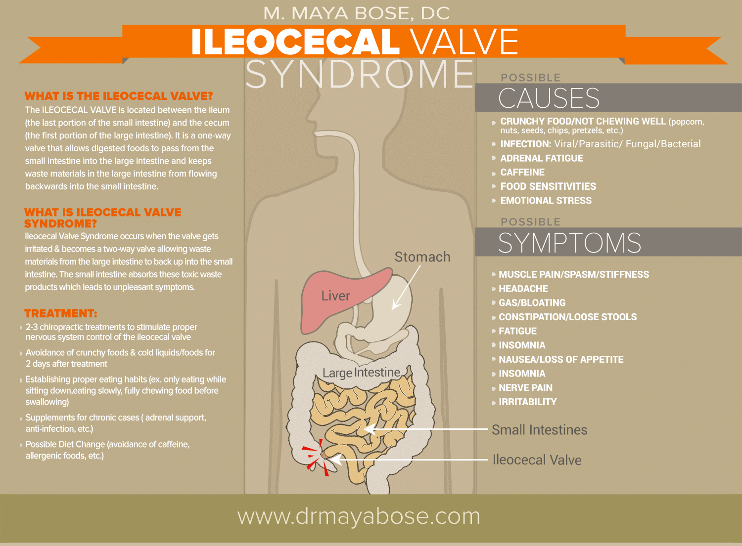 CONSTIPATION AND HEMORRHOIDDS (PILES)