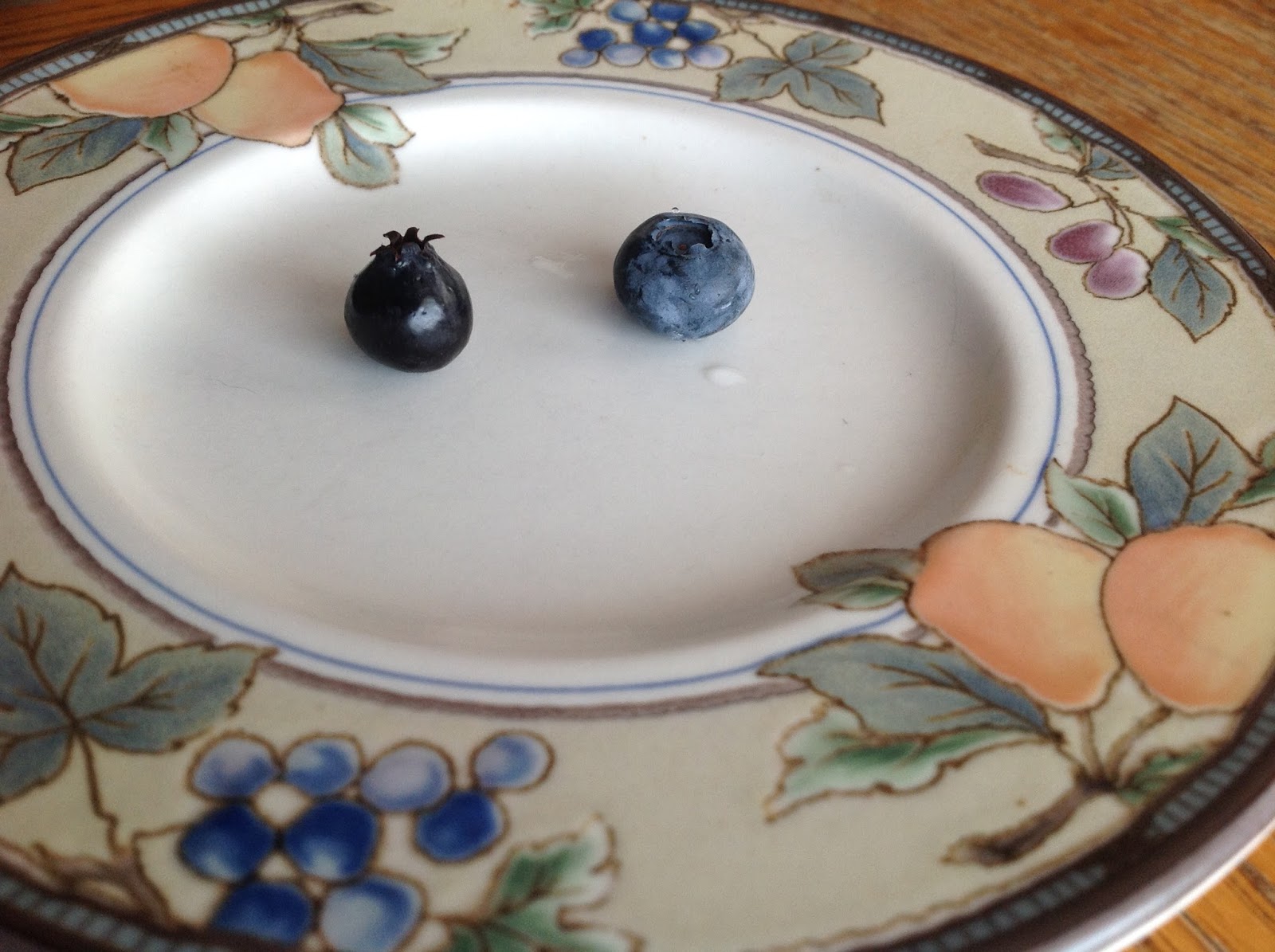 7 Ways to Tell a Saskatoon from a Blueberry by M. K. Stelmack