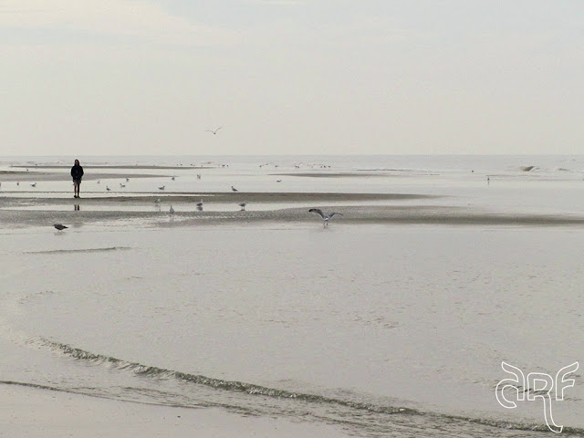 man walking on the beach