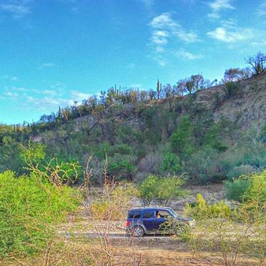 RANCHO LA FORTUNA BAJA CALIFORNIA SUR