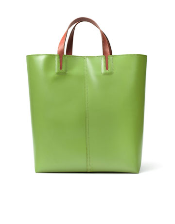 Celine Ring Bag vs Zara Graduated Bowling Bag | Bragmybag