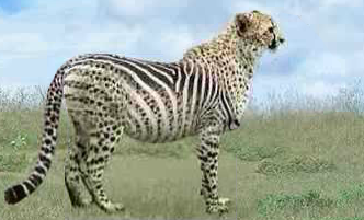 41+ New Pic Mix Images Pictures