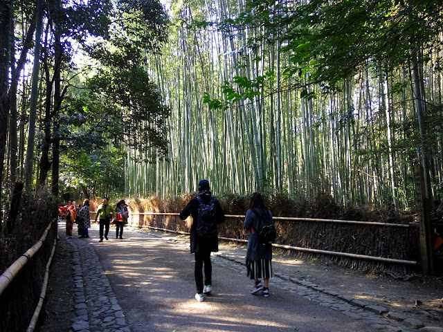 backpacking, backpacking murah, jalan-jalan, travelling, flashpacking, jepang, kyoto, arashiyama, arashiyama bamboo groove